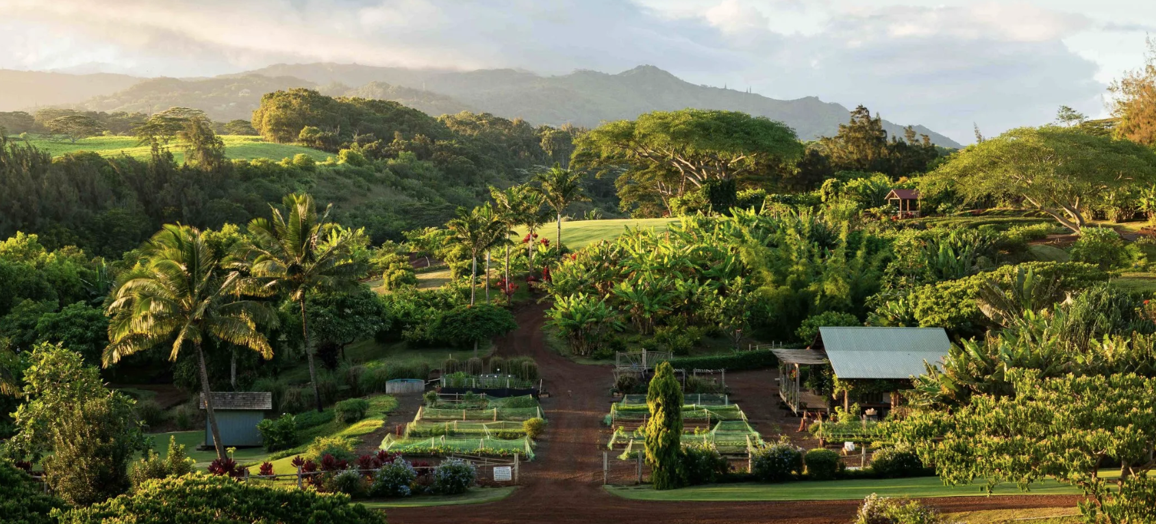 Sustainable by Design
